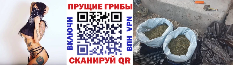 Галлюциногенные грибы GOLDEN TEACHER OMG рабочий сайт Фокино